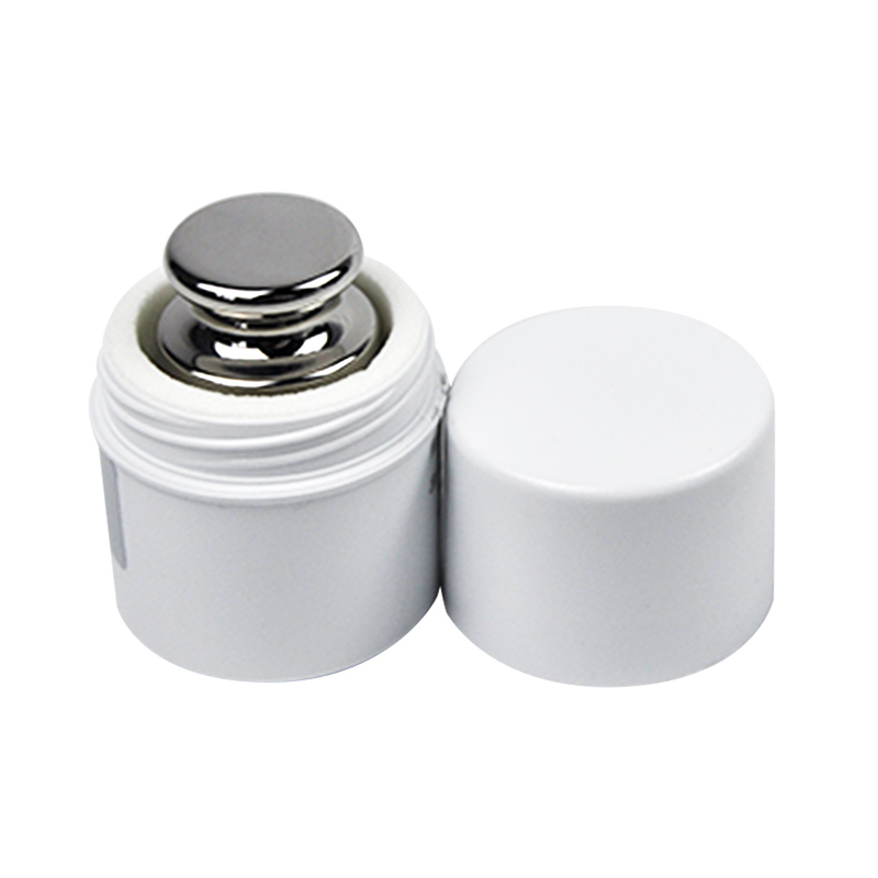 E2 100g Stainless Steel Weights